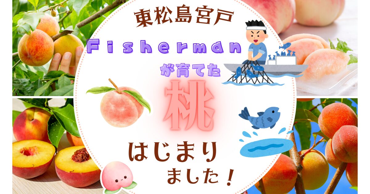 マリオのようなおじさん達（漁業者）が作る桃、ピーチ姫はいずこ？